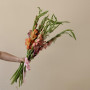 11 разноцветных гладиолусов фото 4